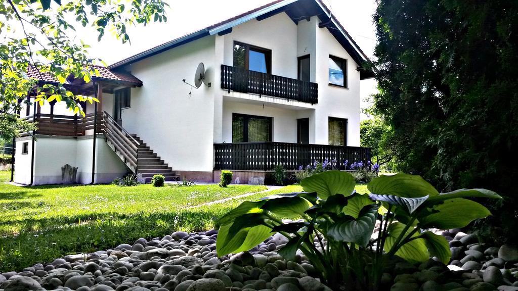 Apartment Lipa Irinovac Værelse billede